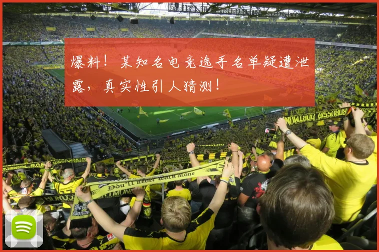 爆料!某知名电竞选手名单疑遭泄露,真实性引人猜测!