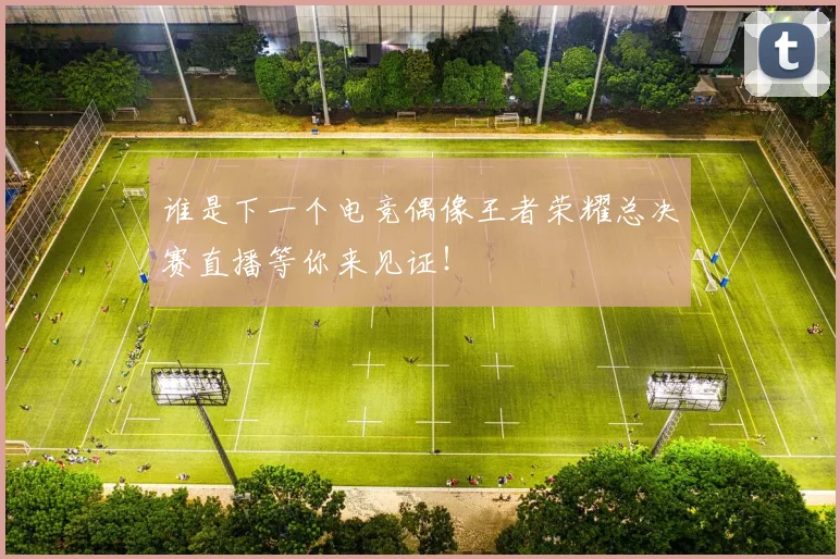 谁是下一个电竞偶像王者荣耀总决赛直播等你来见证!