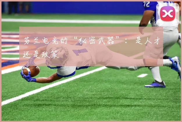 芬兰电竞的“秘密武器”：是人才还是政策